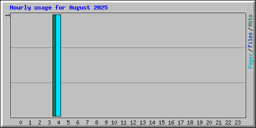 Hourly usage for August 2025